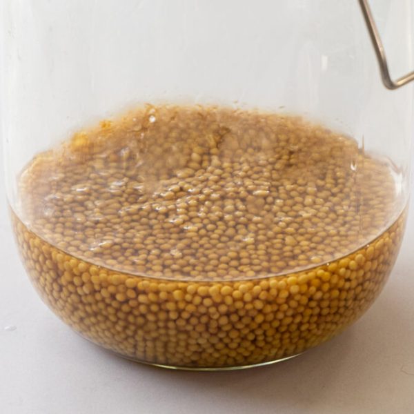 Sweet & sour mustard seeds