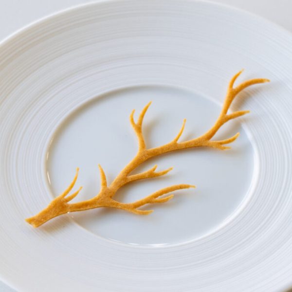 Savory beurre noisette tuille