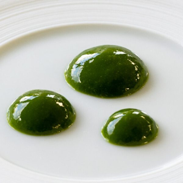 Green leek and dill coulis