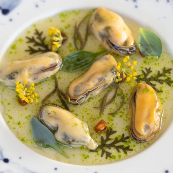 Mossel website banner