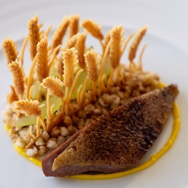 Pigeon & Buckwheat dish