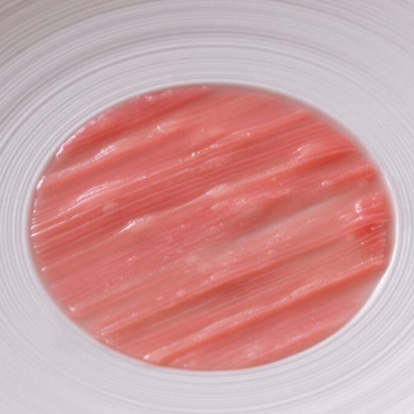 Sous-vide rhubarb disc