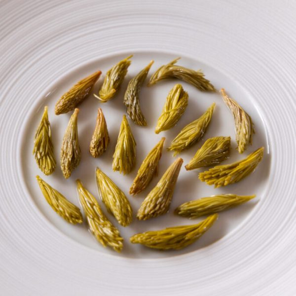 Sweet and sour spruce tips