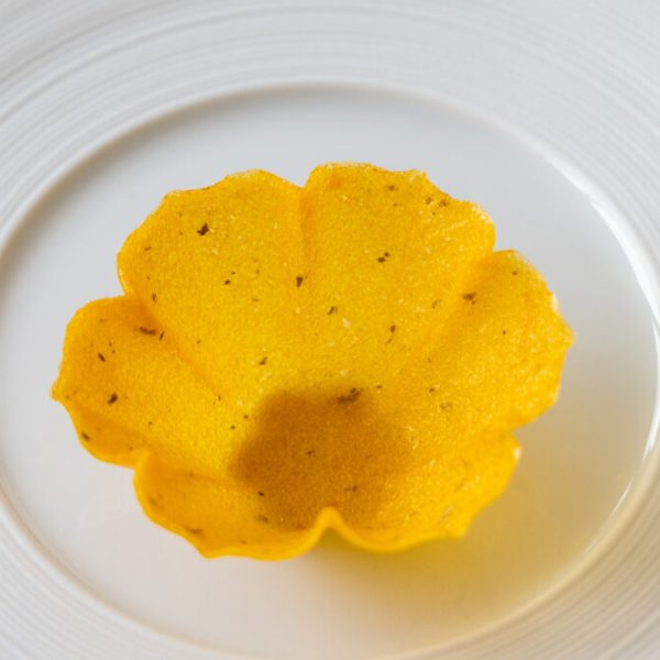 Apricot & carrot tartelette