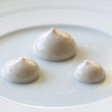 Oyster cream